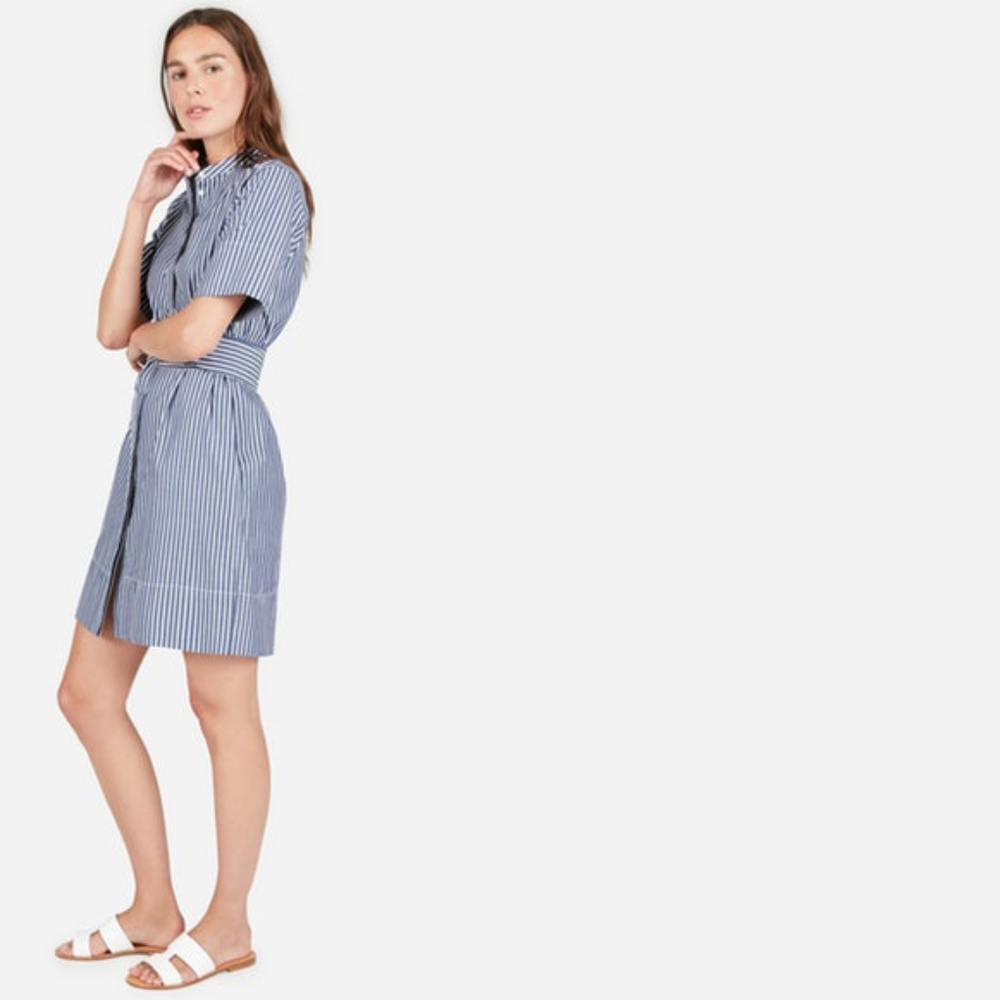 ISO (not for sale) Everlane collarless shirt dress